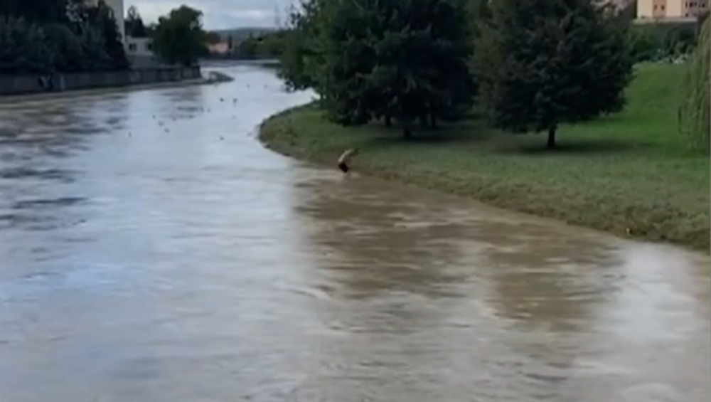 Surfer alebo skokan: Ľudia počas záplavy hazardujú so svojim životom 