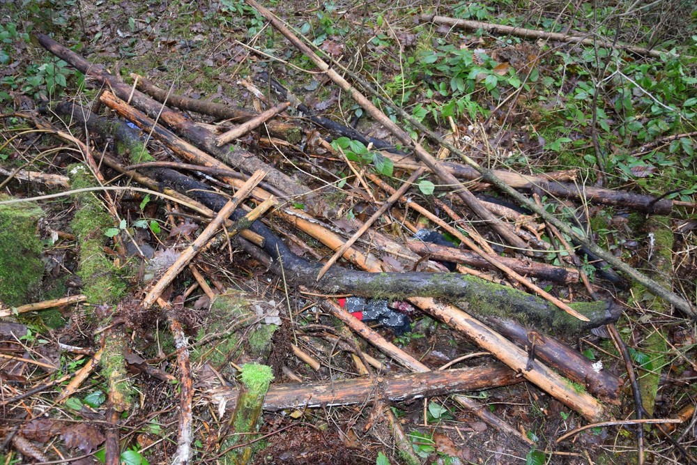 Otrasný nález v lesoch nad Zvolenom: Vyšetrovateľ vzniesol obvinenie pre zločin vraždy