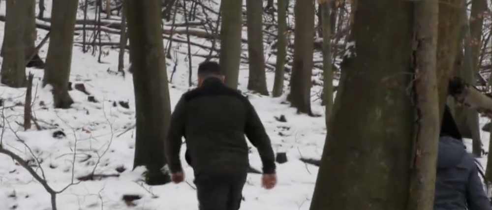 Zastrelené psy v Snine