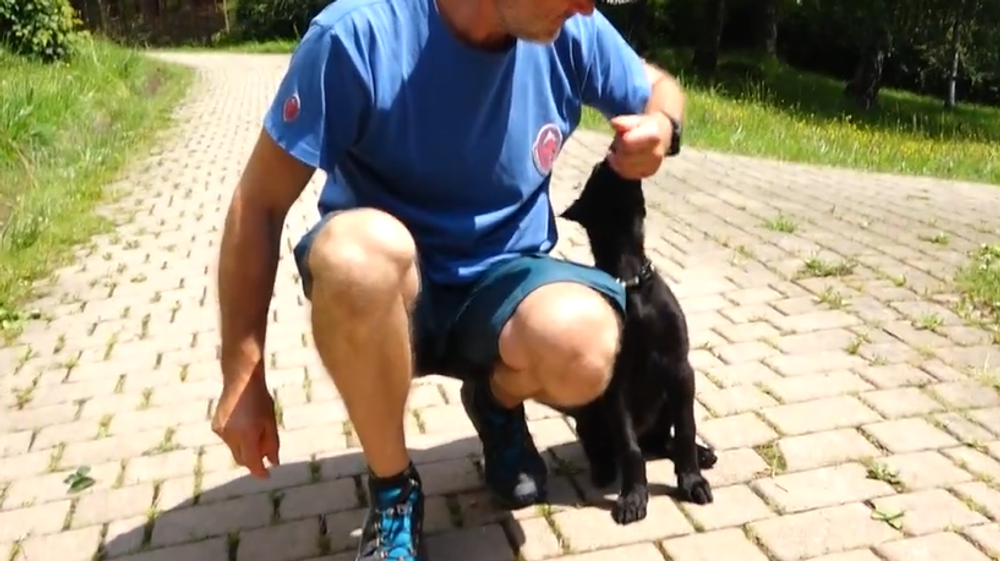 Screenshot 2024-07-27 093735