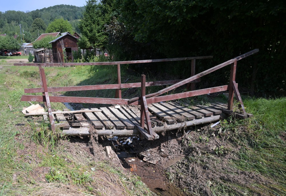 Mnisek12_11_7_2024056908