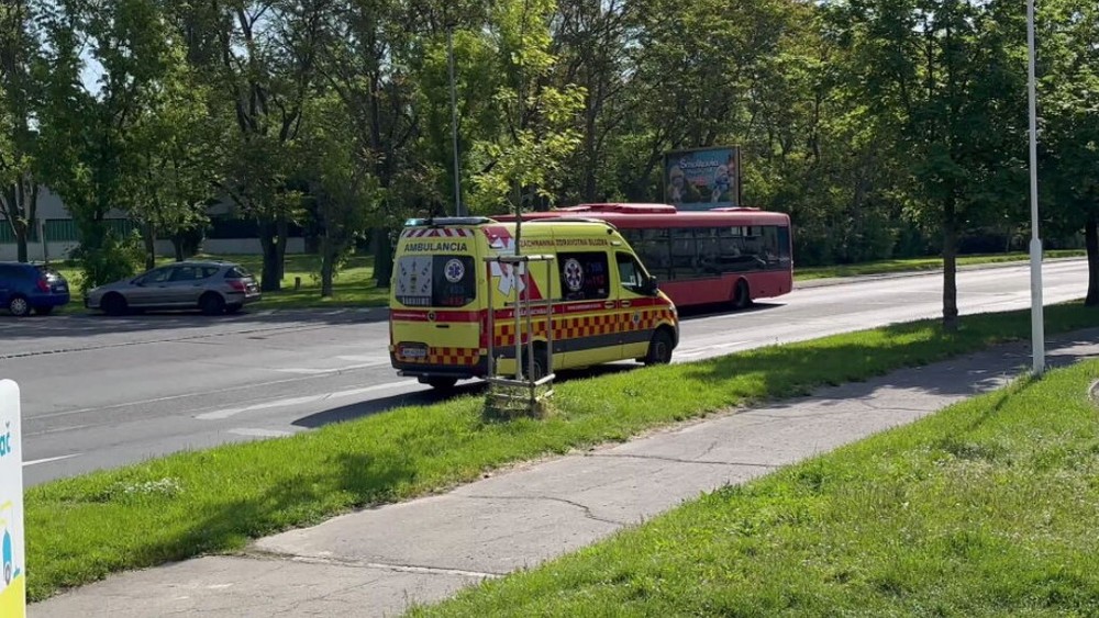 zrazena chodkyna (2)