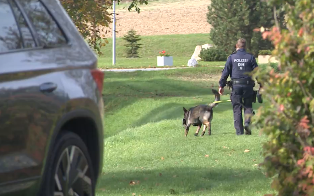 Vražda v Rakúsku 4