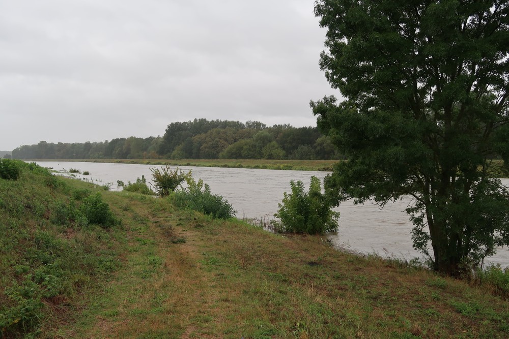 20240914_Morava_povodne1Gbely1situacia_2072146