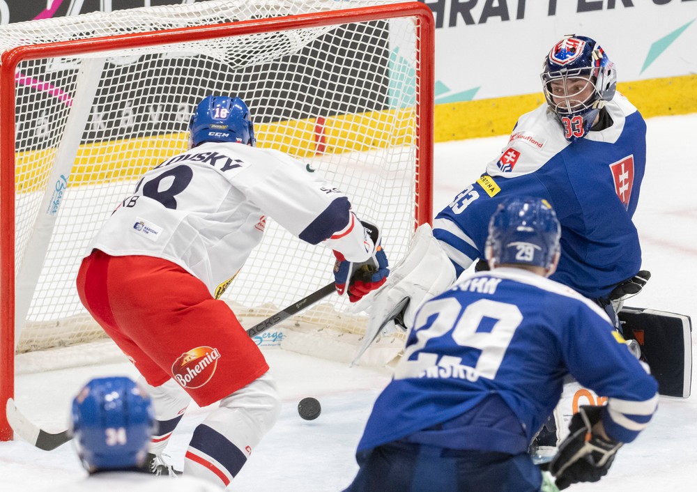 Slovensko vs Česko (4)