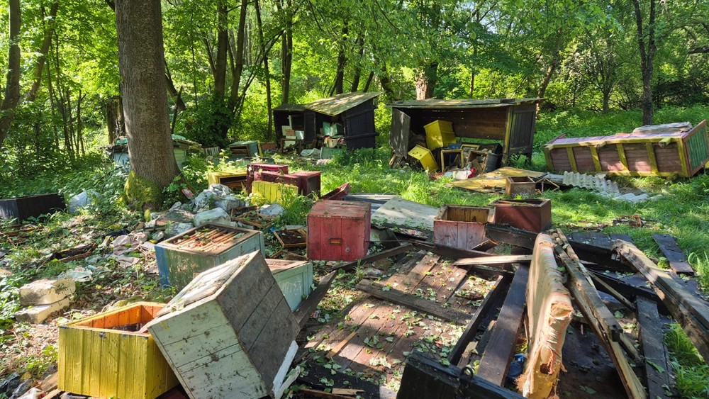 Medveď zničil úle (6)