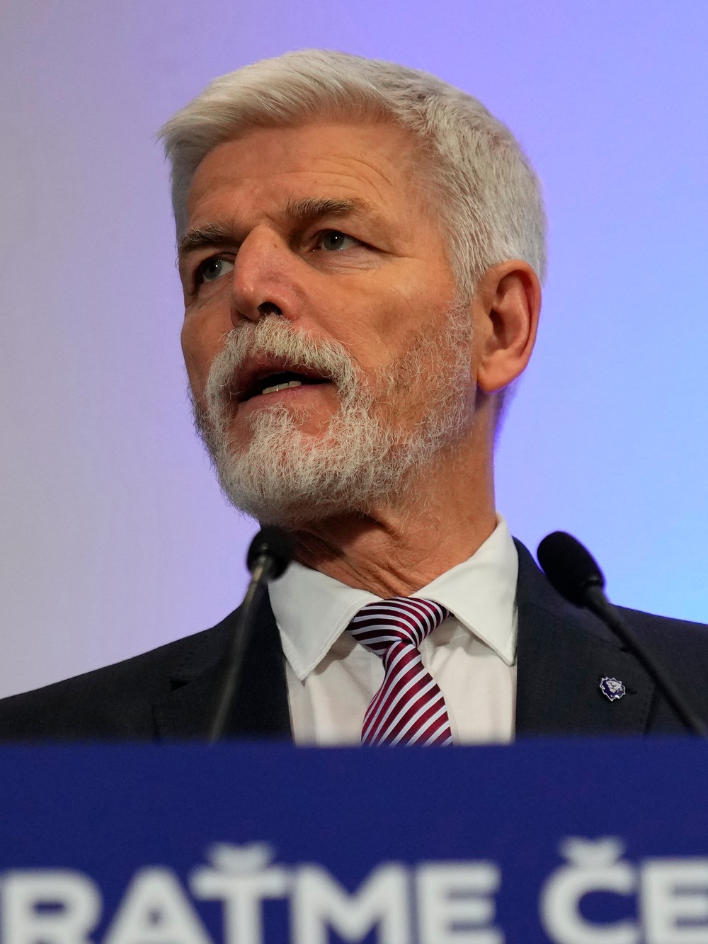 Prezidentské voľby v Česku 2023