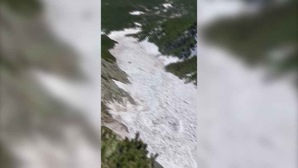 [multi] 043024NVE 1847