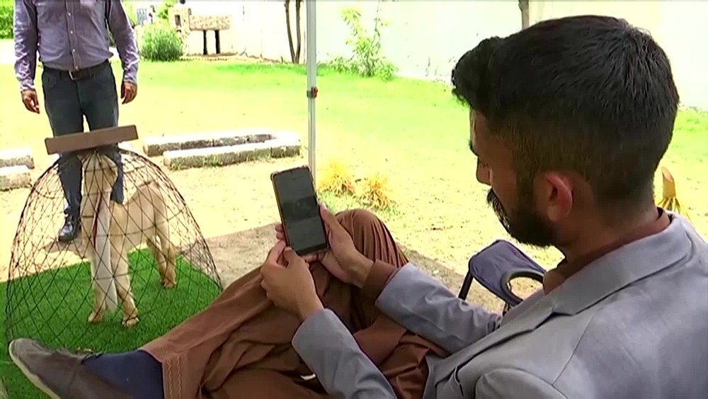 [multi] USATA KOZA 1131