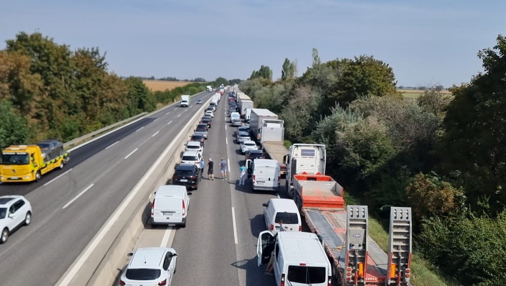 WhatsApp Image 2024-09-02 at 12.44.19