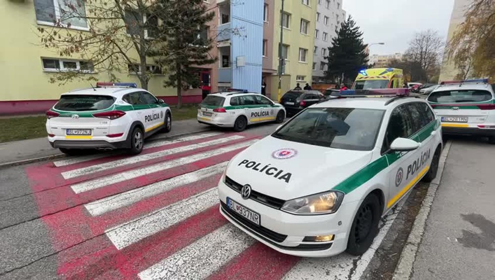 [multi] Vražda v Dúbravke 376