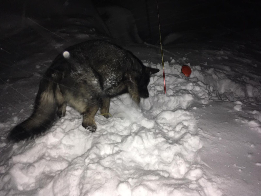 Lavína Vysoké Tatry