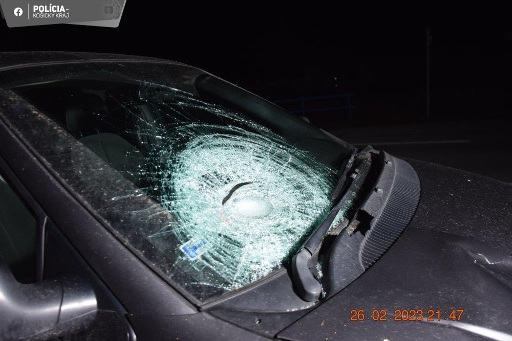 333796812_1245809146354028_321033250803872482_n