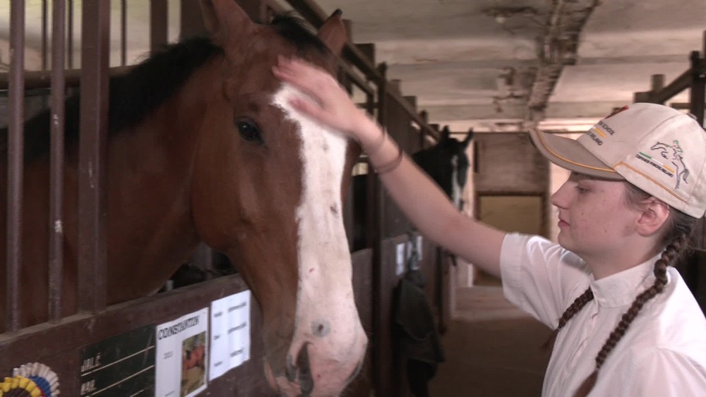 [multi] 050124PEG 81