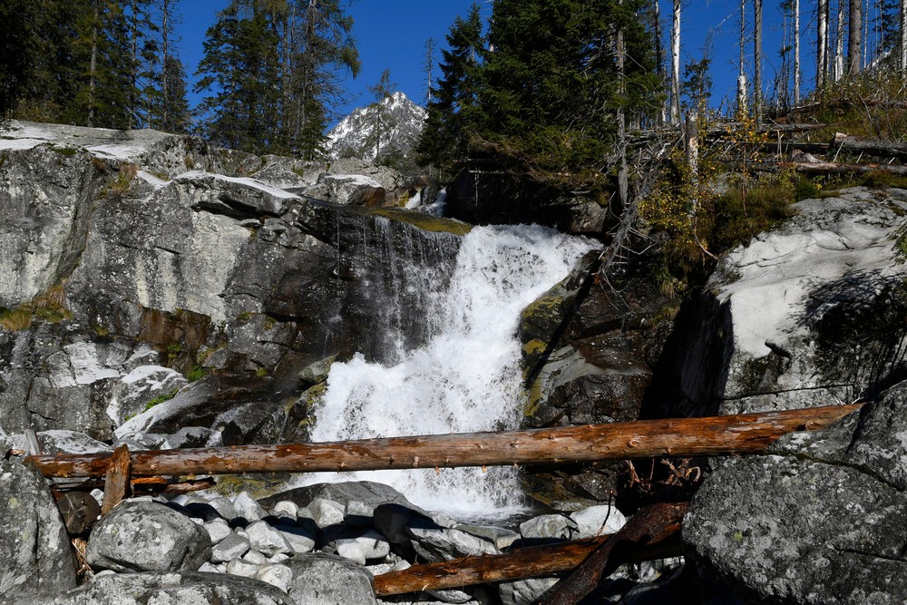 Lykožrútová kalamita sa šíri ďalej (3)