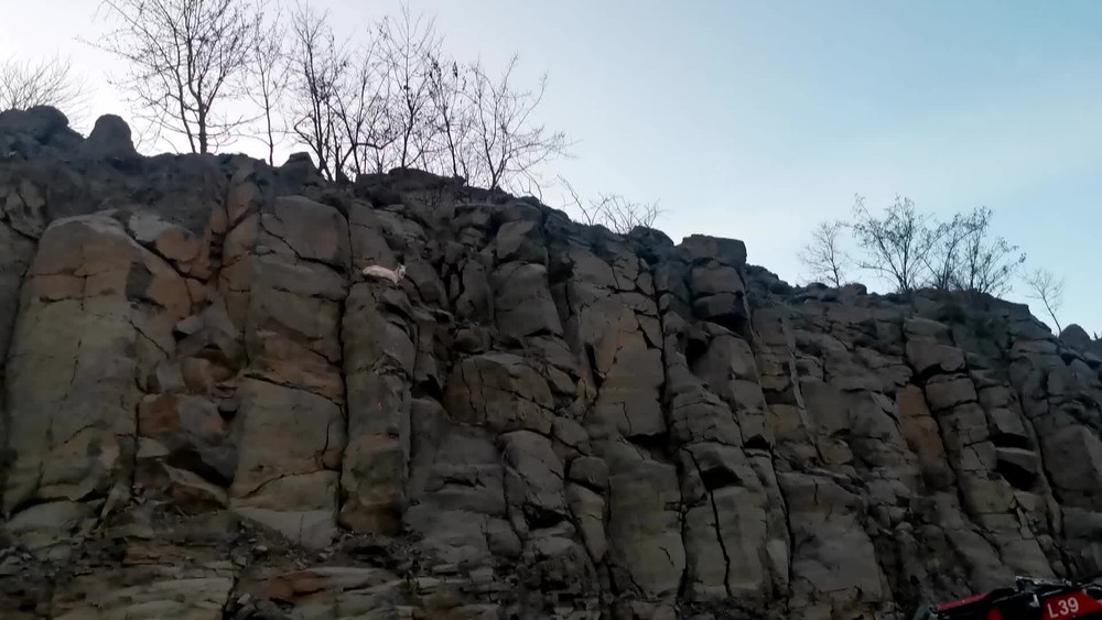 [multi] Zachrana kozy 2462