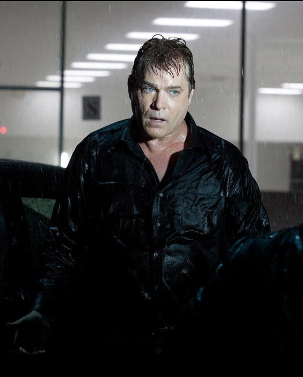 Ray Liotta