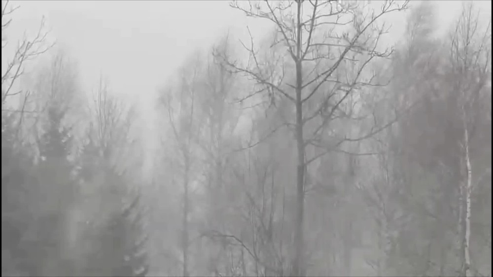 [multi] vietor 17.1. 14165