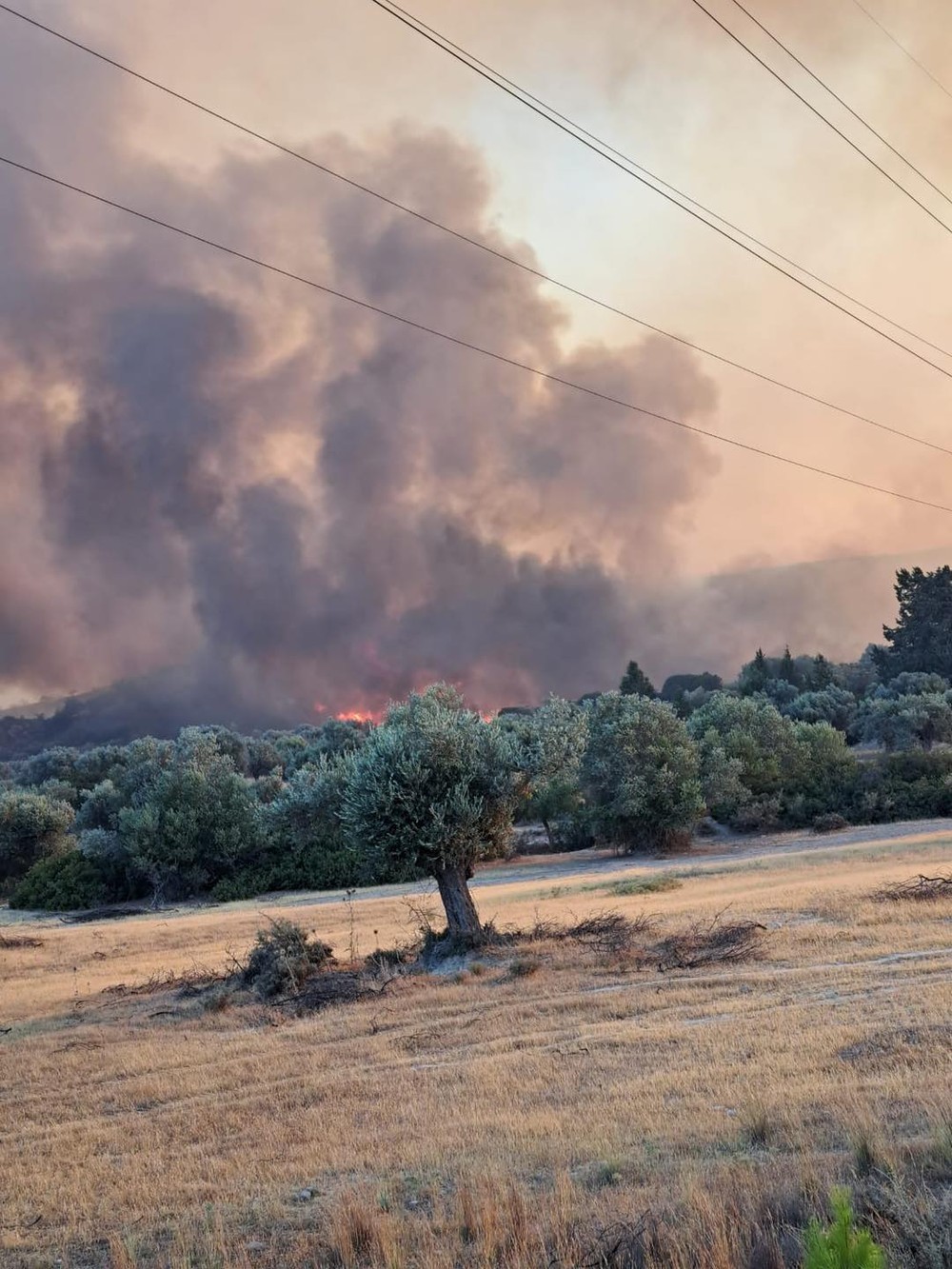požiar grécko rodos hasiči trafostanica 4. deň (5)