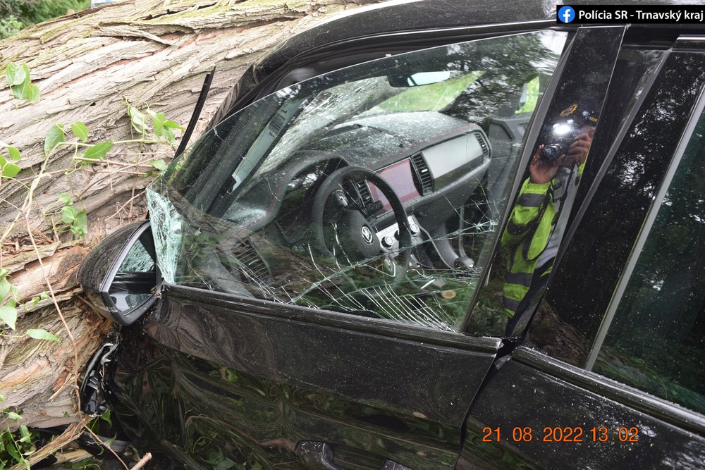 Na auto spadol počas jazdy strom