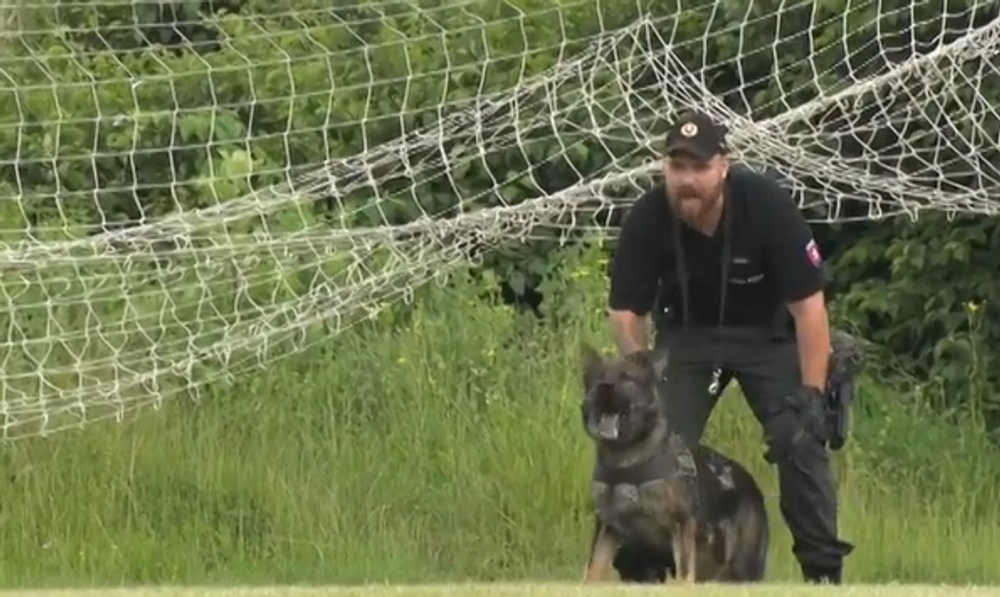 sutaz policajných psov