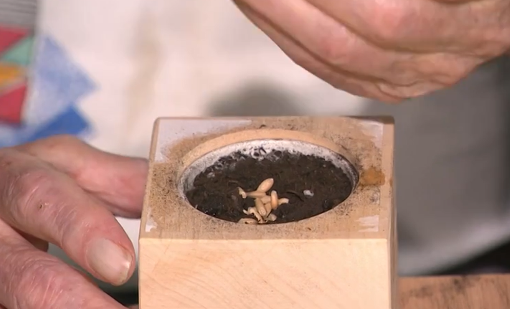 Poďakovanie Ottovi Šimkovi za zbierku 