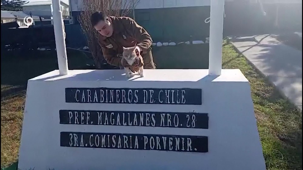 [multi] 082325AFP 7038