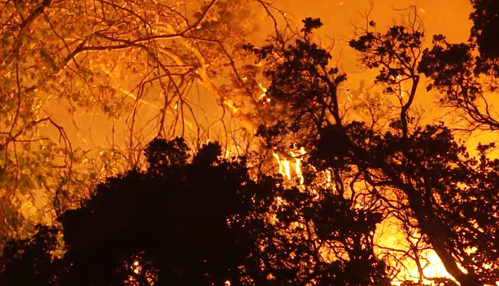 Lesný požiar v Kalifornii