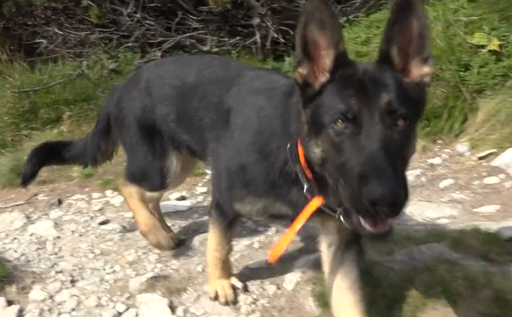 Screenshot 2024-07-27 093909