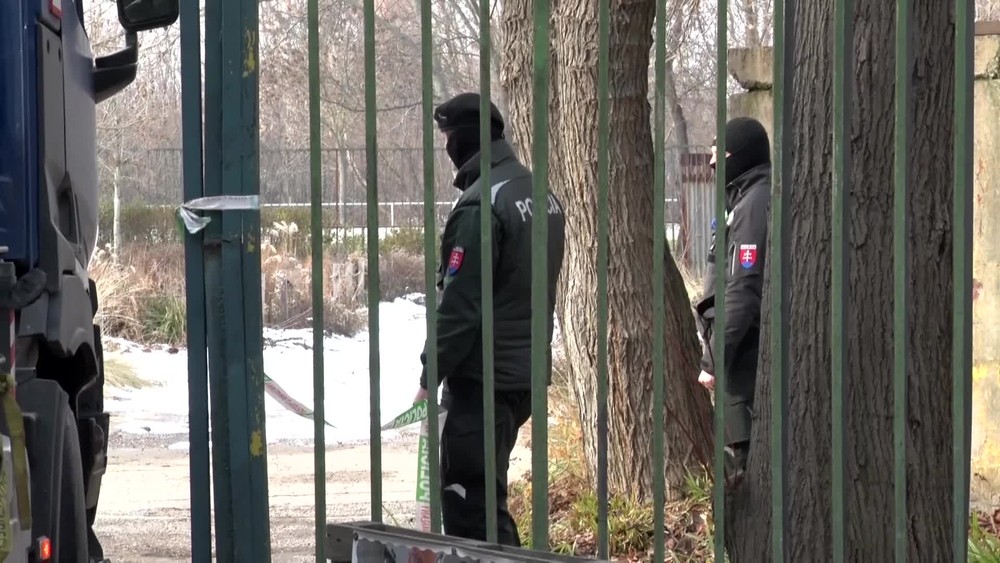 [multi] Nájdené kosti 7332