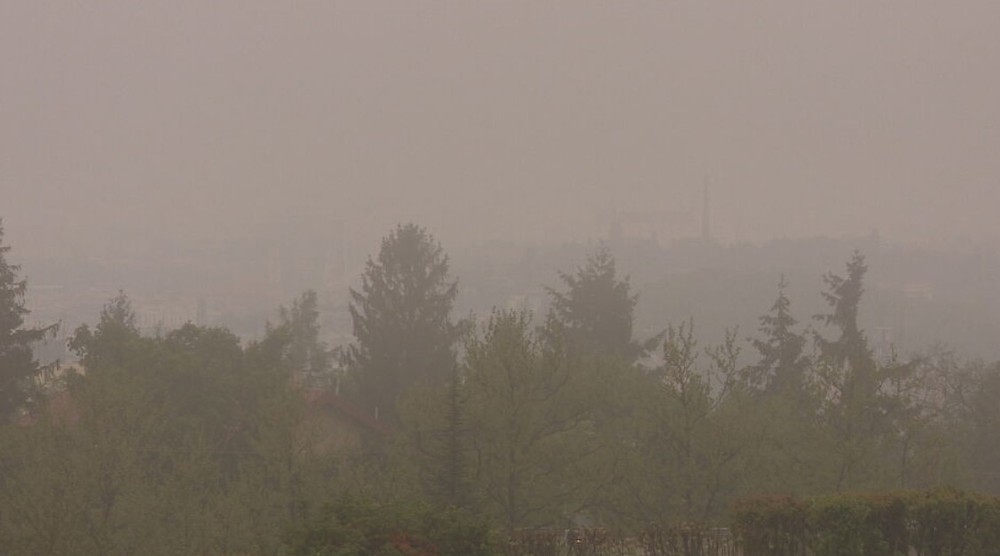 saharsky piesok hoaxy (7)