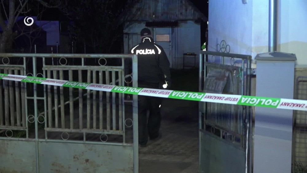 [multi] 041925QJS 11310