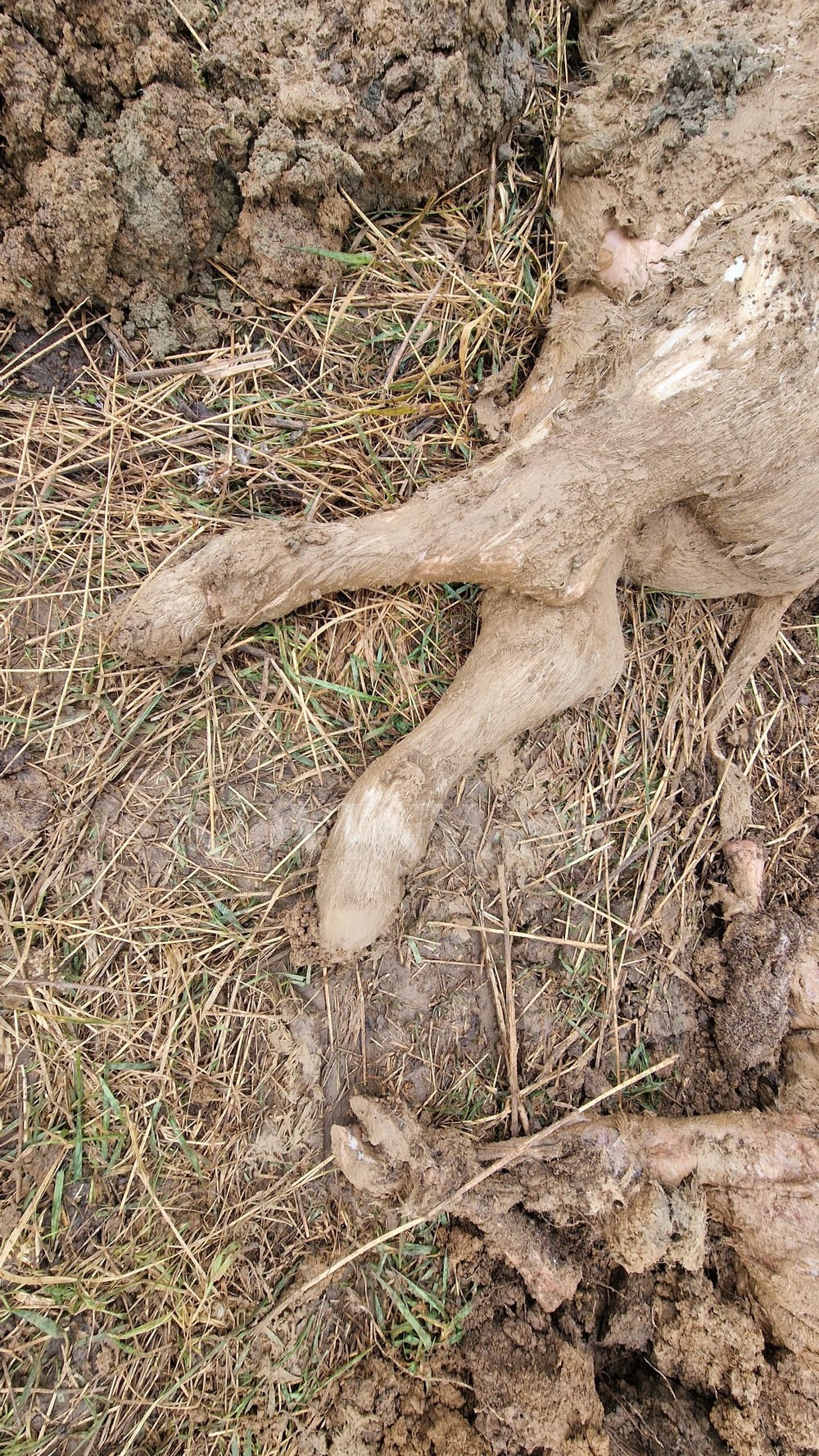 WhatsApp Image 2023-03-07 at 10.18.04 (2)