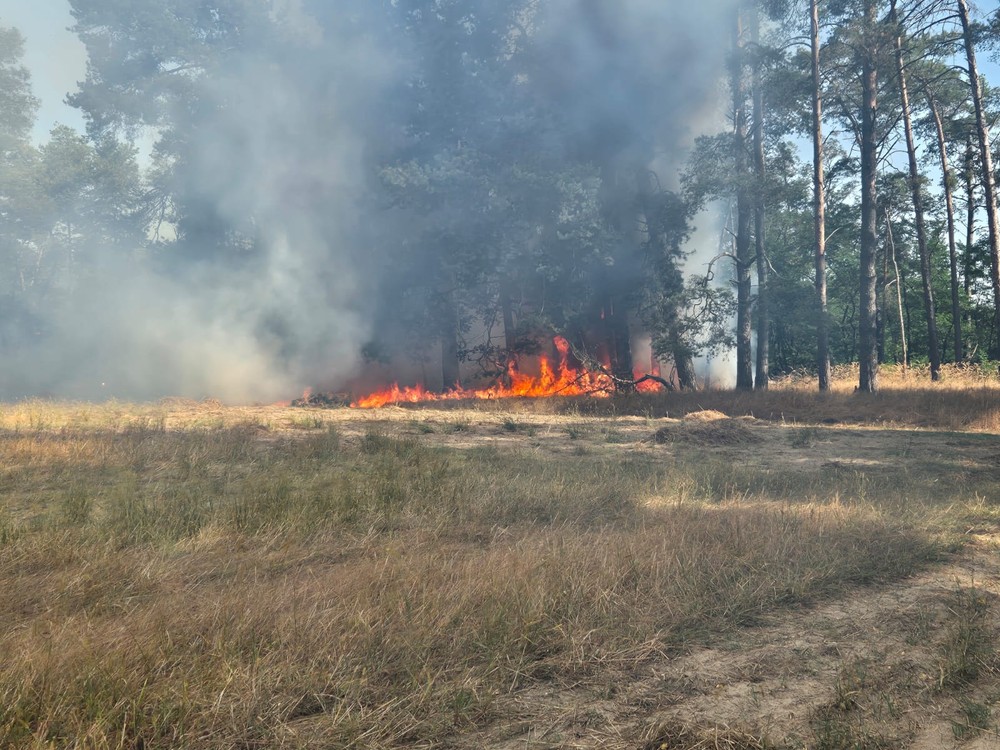 WhatsApp Image 2024-09-03 at 16.57.22