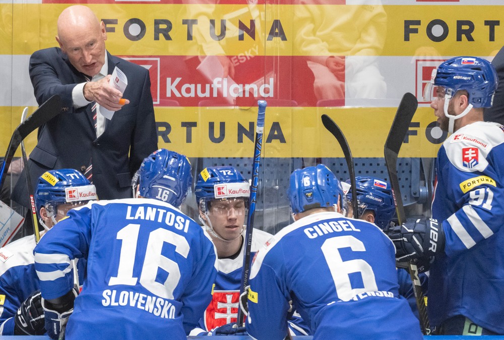 Slovensko vs Česko (3)