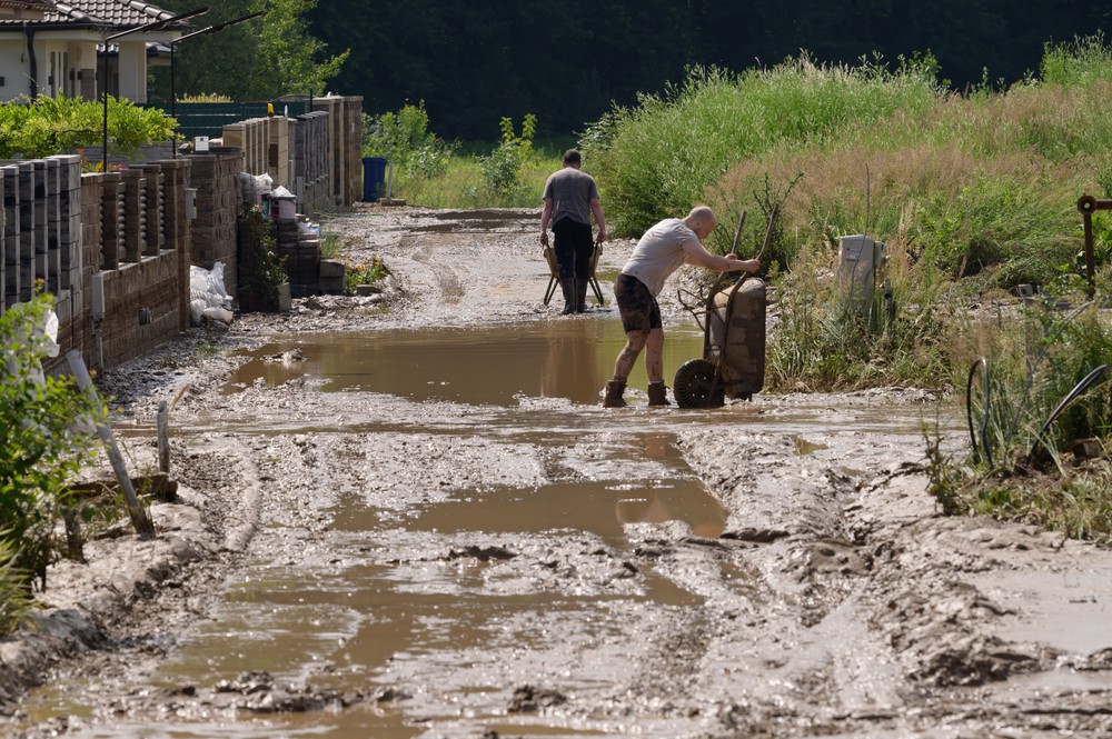 bltpvdnnr110624nr4049753