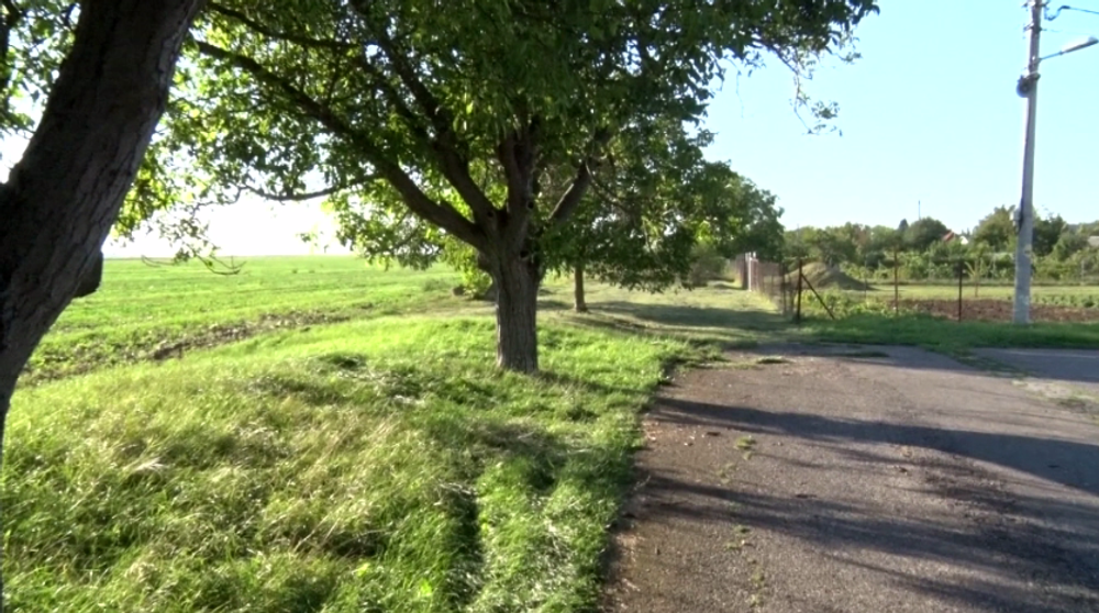 Nezvládol prejazd zákrutou a čelne vrazil do stromu. Pri dychovej skúške mu namerali tri promile