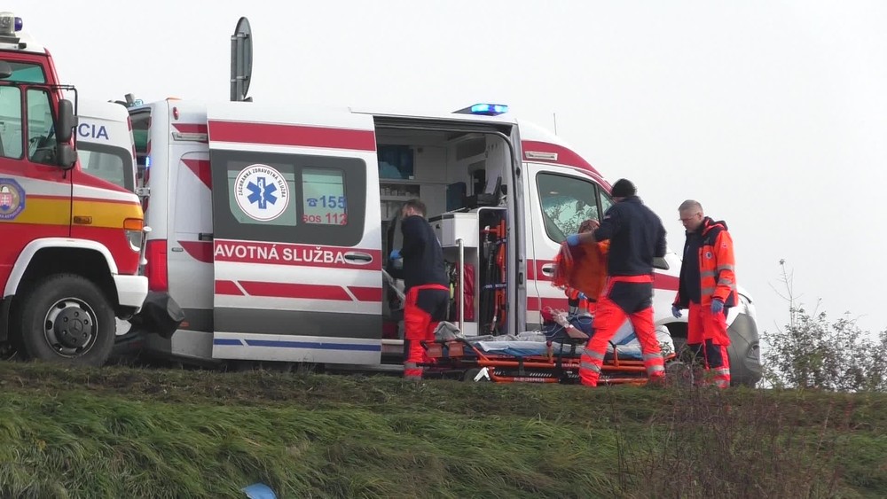 [multi] 112724SJR 4010