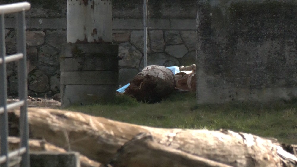 utopena zena nitra (1)