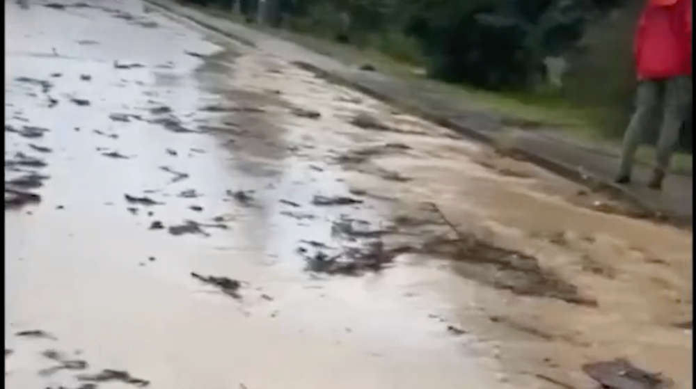 Snímka obrazovky 2024-06-26 o 20.57.26