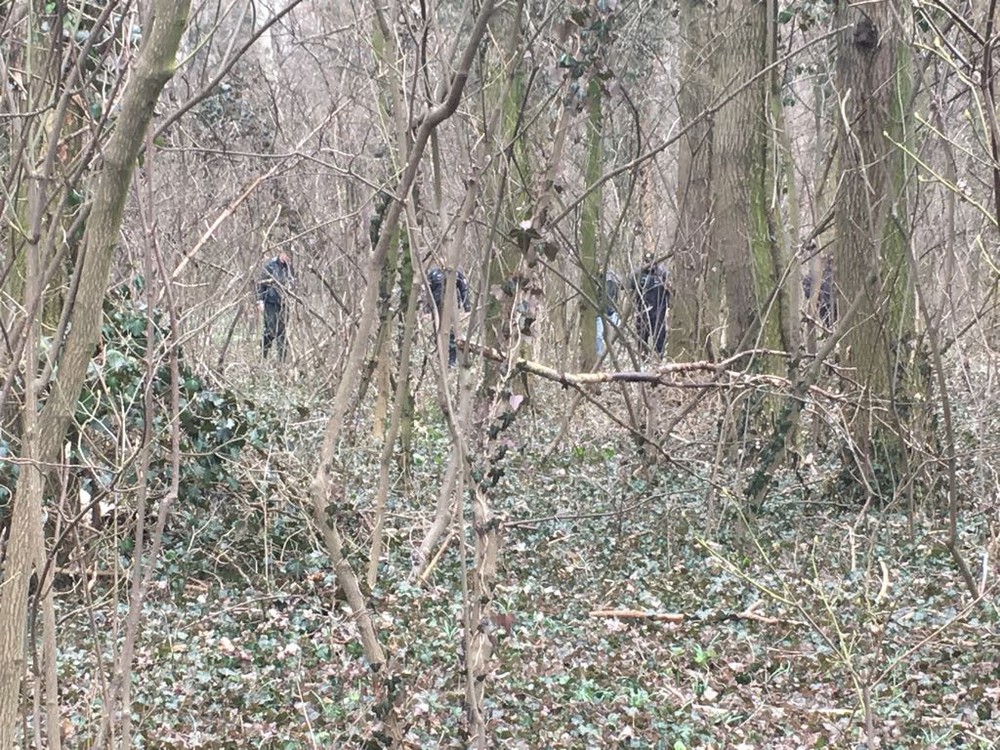 Polícia prehľadáva les vo Veľkej Mači