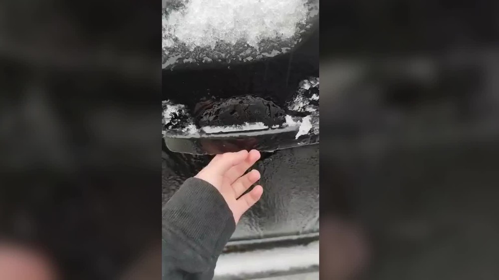 [multi] Video od diváčky Kataríny Guothovej 134