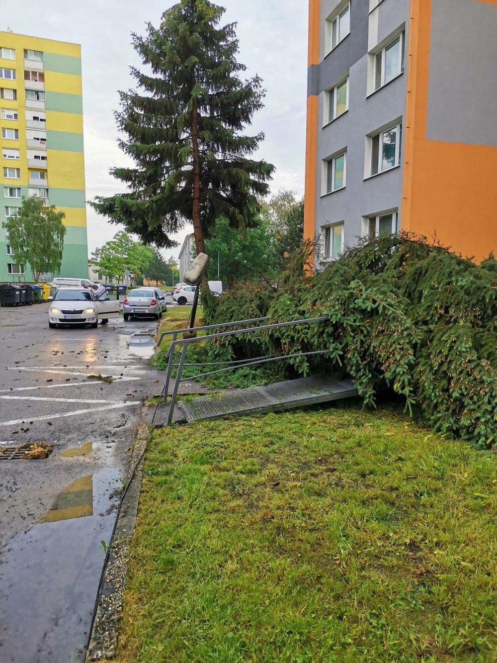 Silná búrka polámala stromy