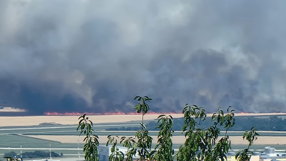 WhatsApp Image 2023-07-15 at 14.59.47 (1)