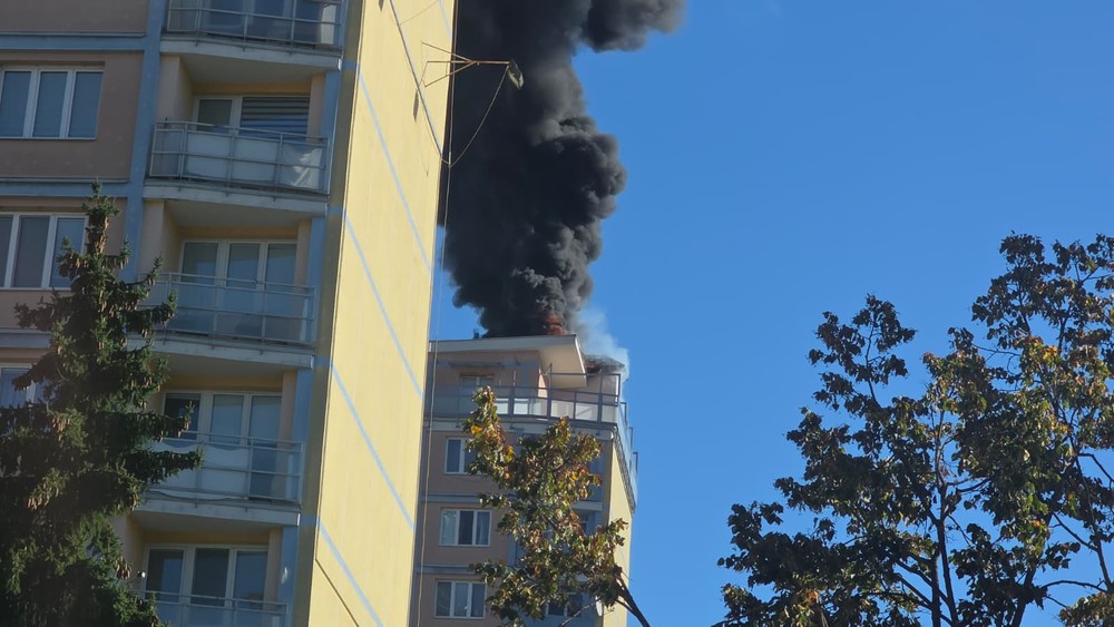 WhatsApp Image 2025-09-30 at 10.10.52 (2)