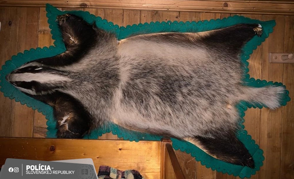 412702841_753604833471754_816011962994488423_n