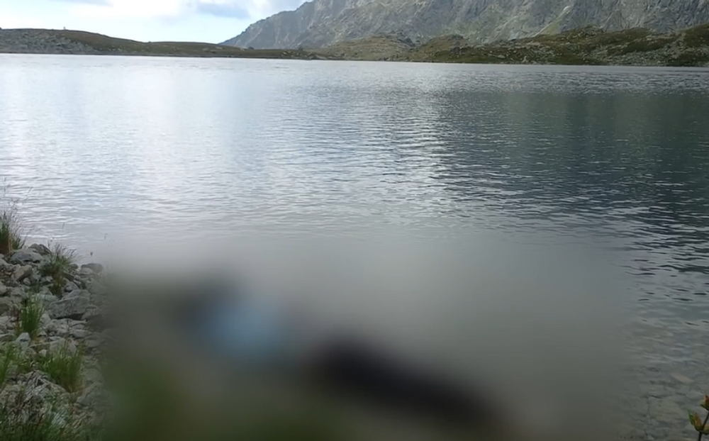 Screenshot 2024-08-11 173915