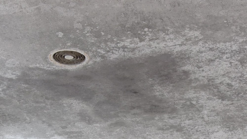 [multi] 061124JMN 2539