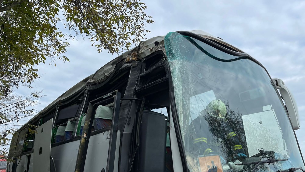 WhatsApp Image 2022-11-03 at 10.37.43