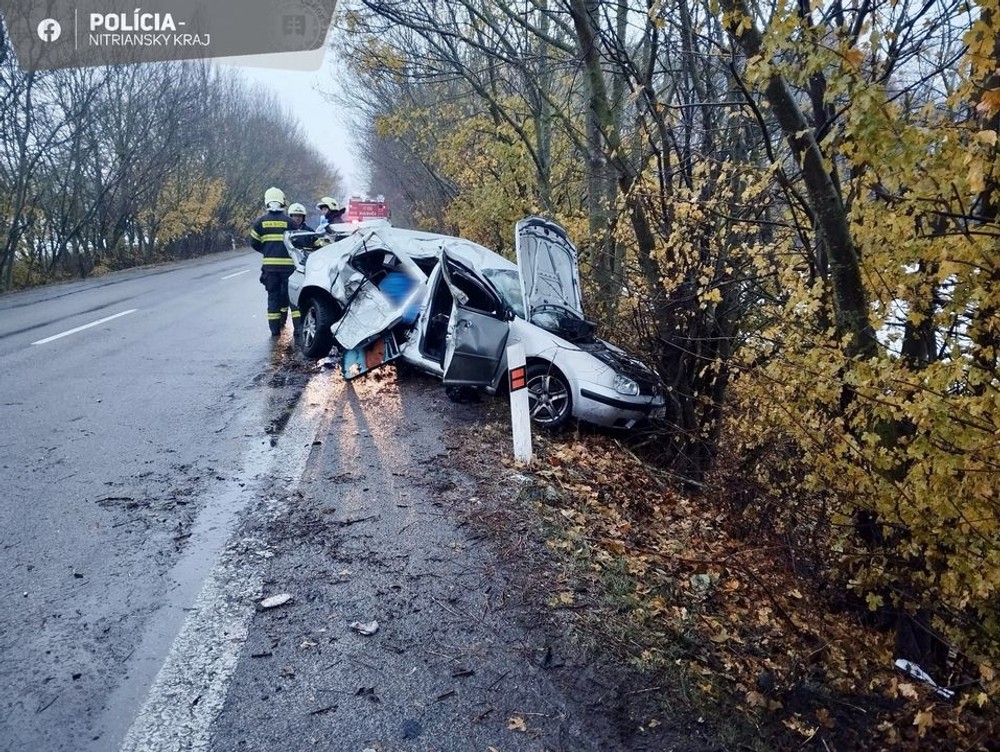 406397987_749709657204914_590210080983644907_n